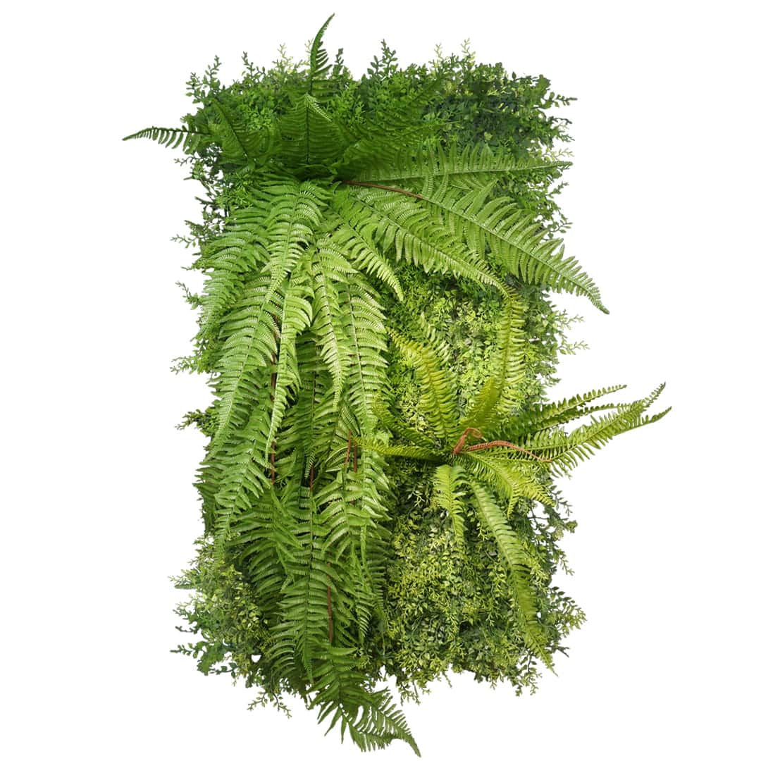 Jardin vertical forestier