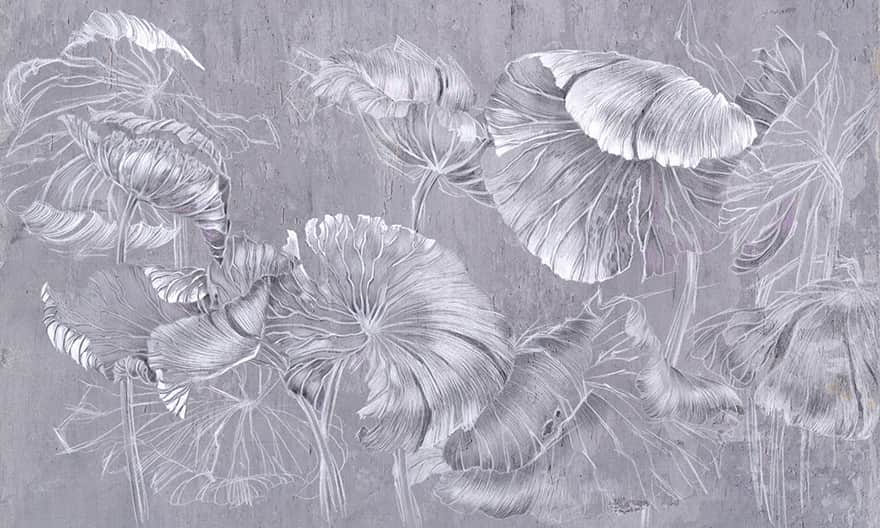Fera – Wonderwall Studio