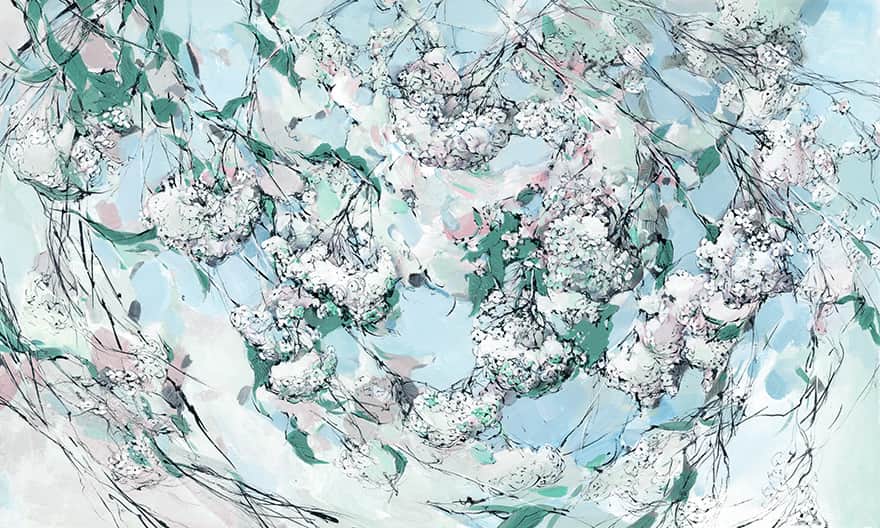 Pure – Wonderwall Studio