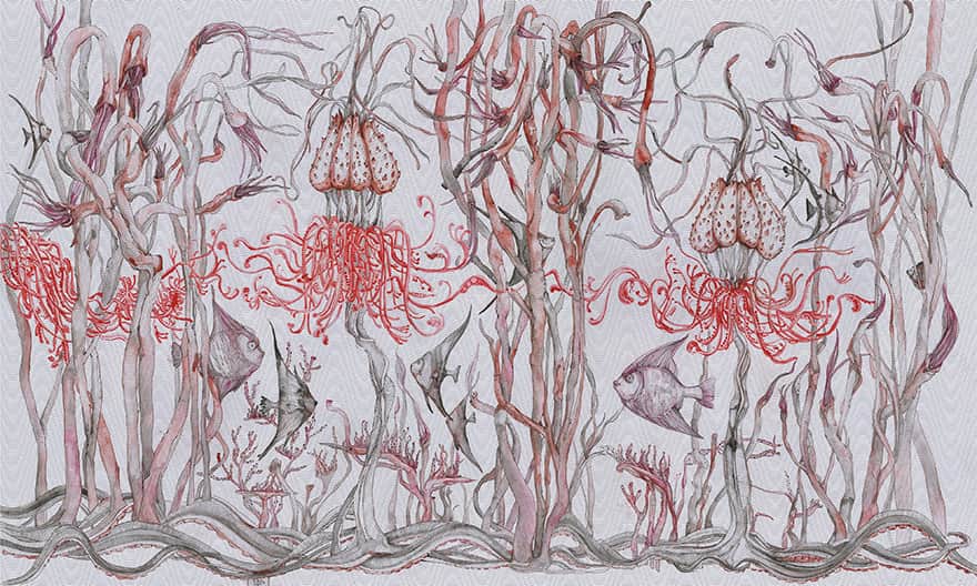 Reef – Wonderwall Studio