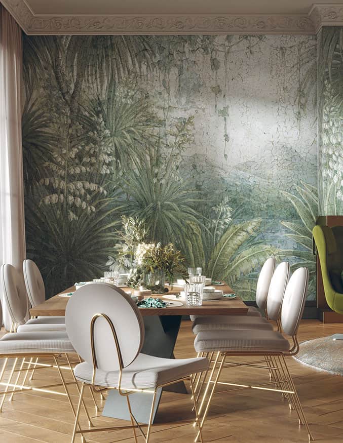 Yucca – Wonderwall Studio