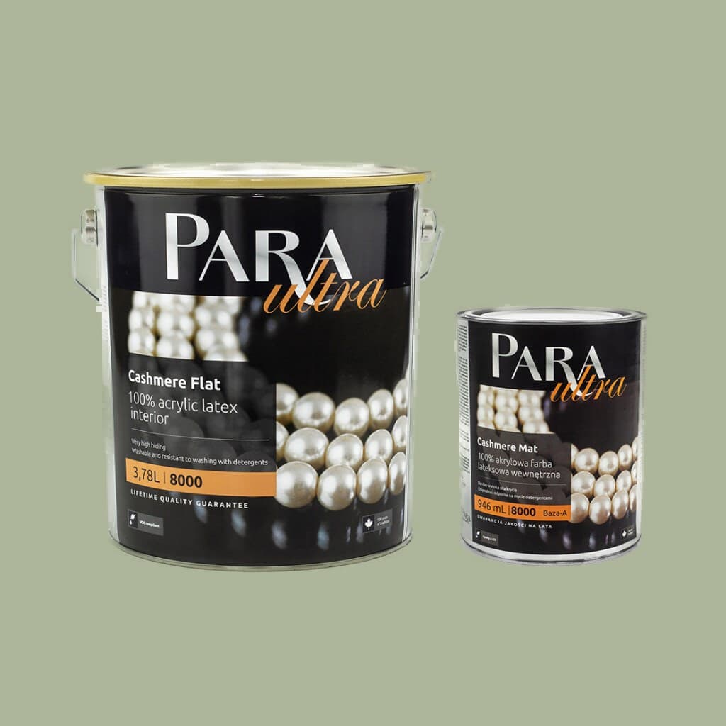 Peinture PARA Ultra 8000 DOMAIN