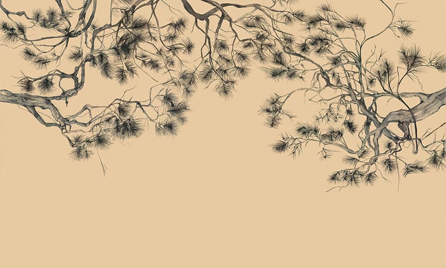 Arbor – Wonderwall Studio