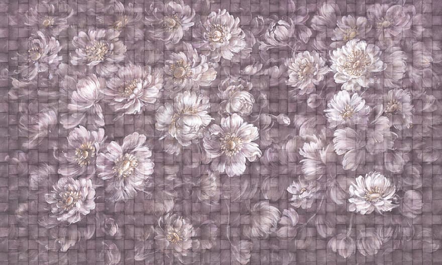 Eve – Wonderwall Studio
