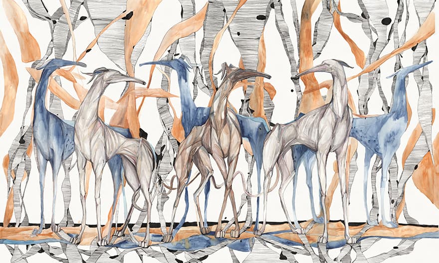 Galgo – Wonderwall Studio