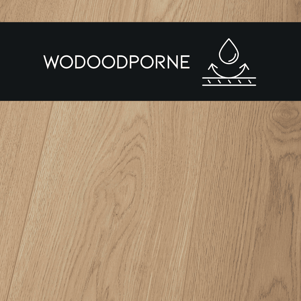 Panneau stratifié Chêne Miodowy – Premium Floor