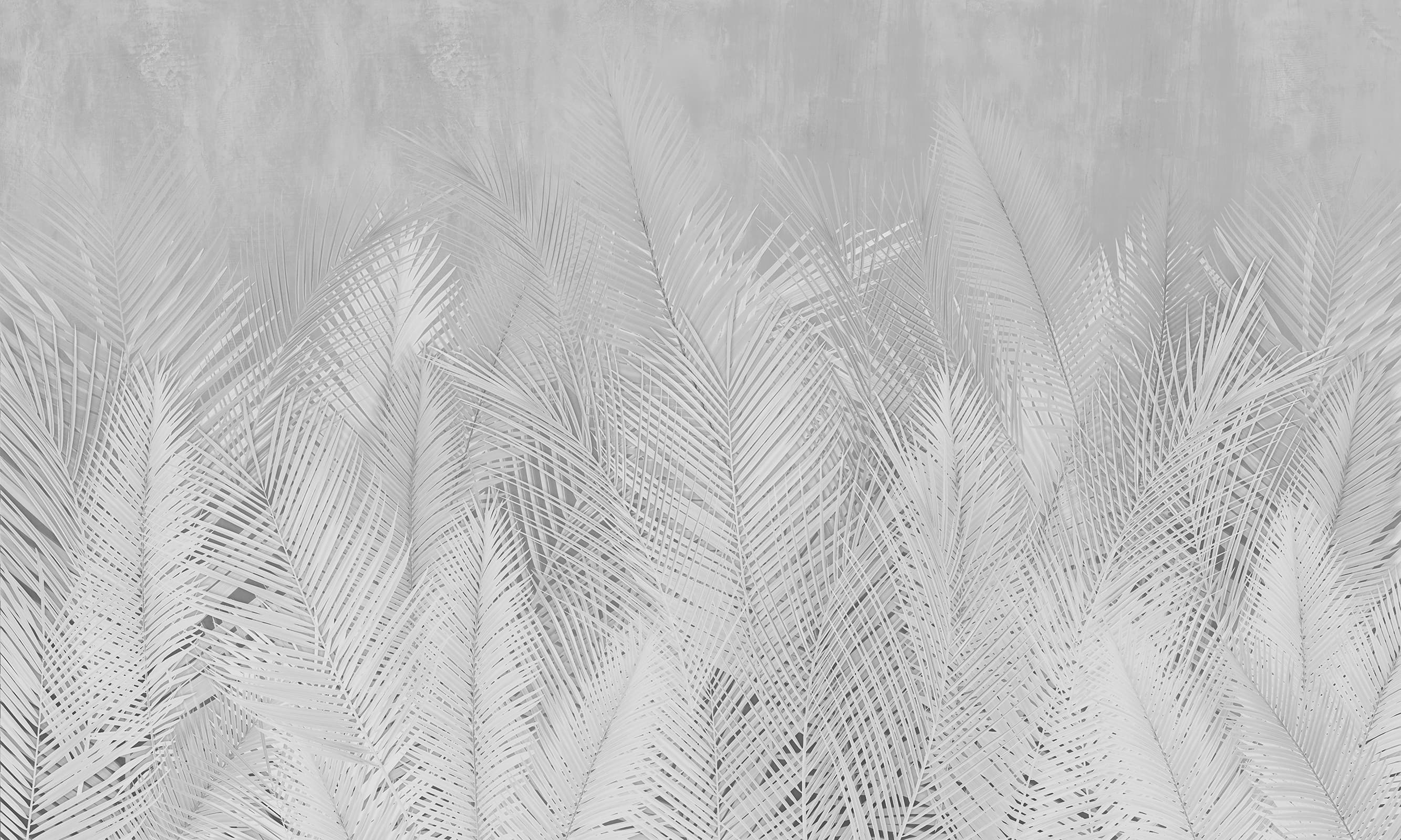 Papier peint Bal Palm