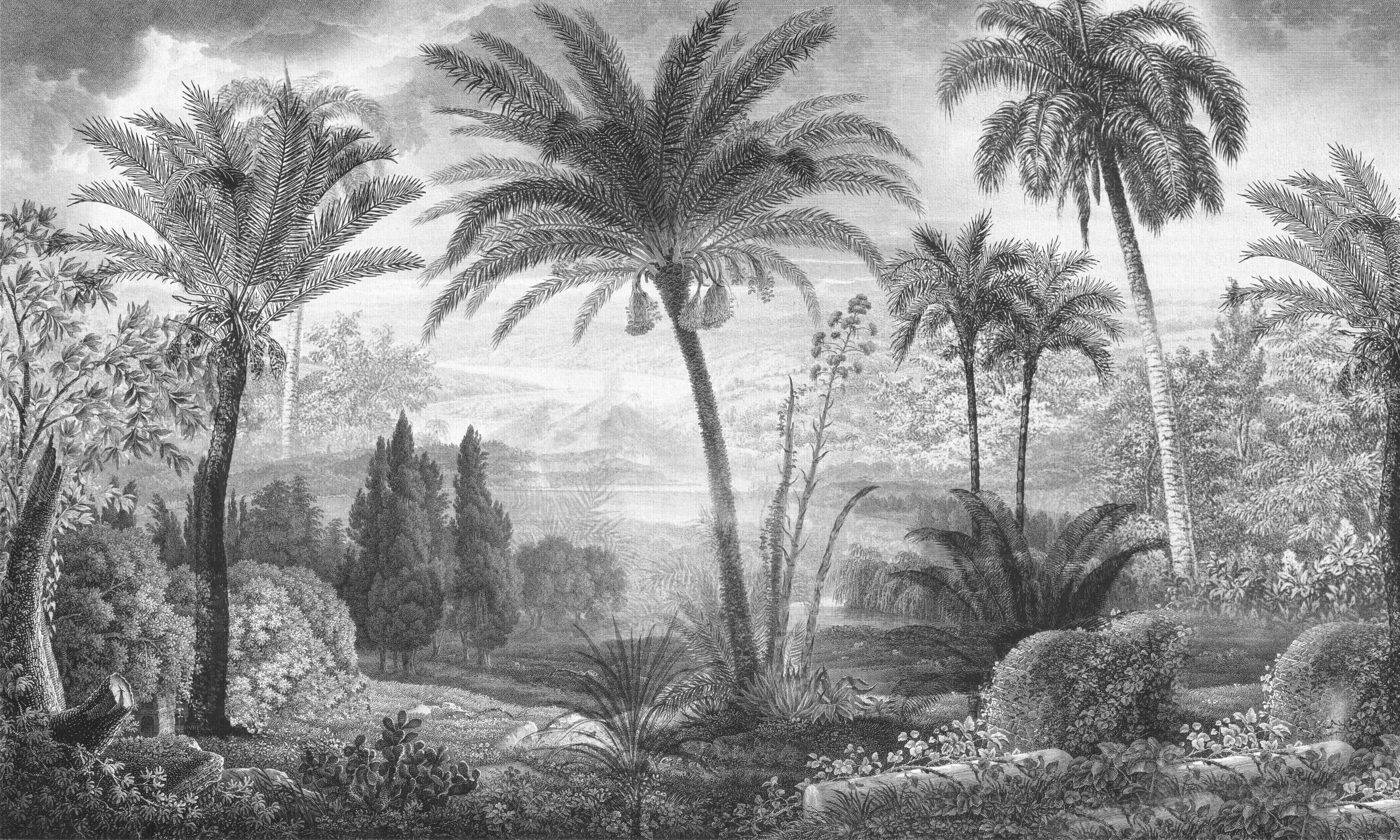 Papier peint Tahiti