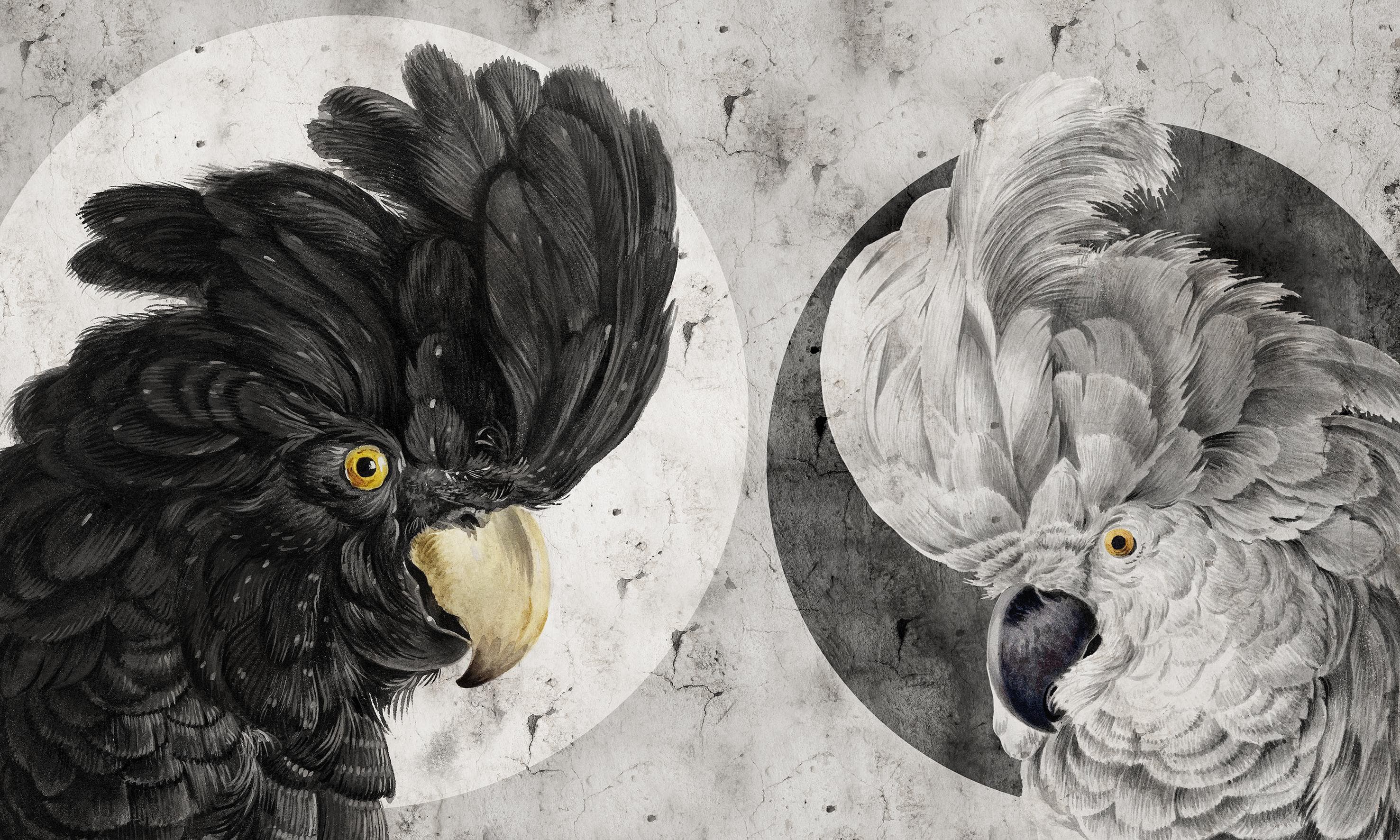 Papier peint Yin – Yang
