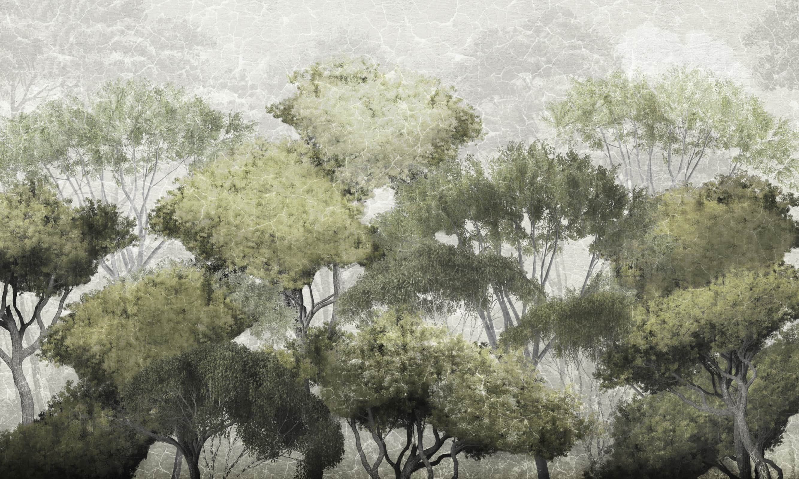 Papier peint Treetop Walk