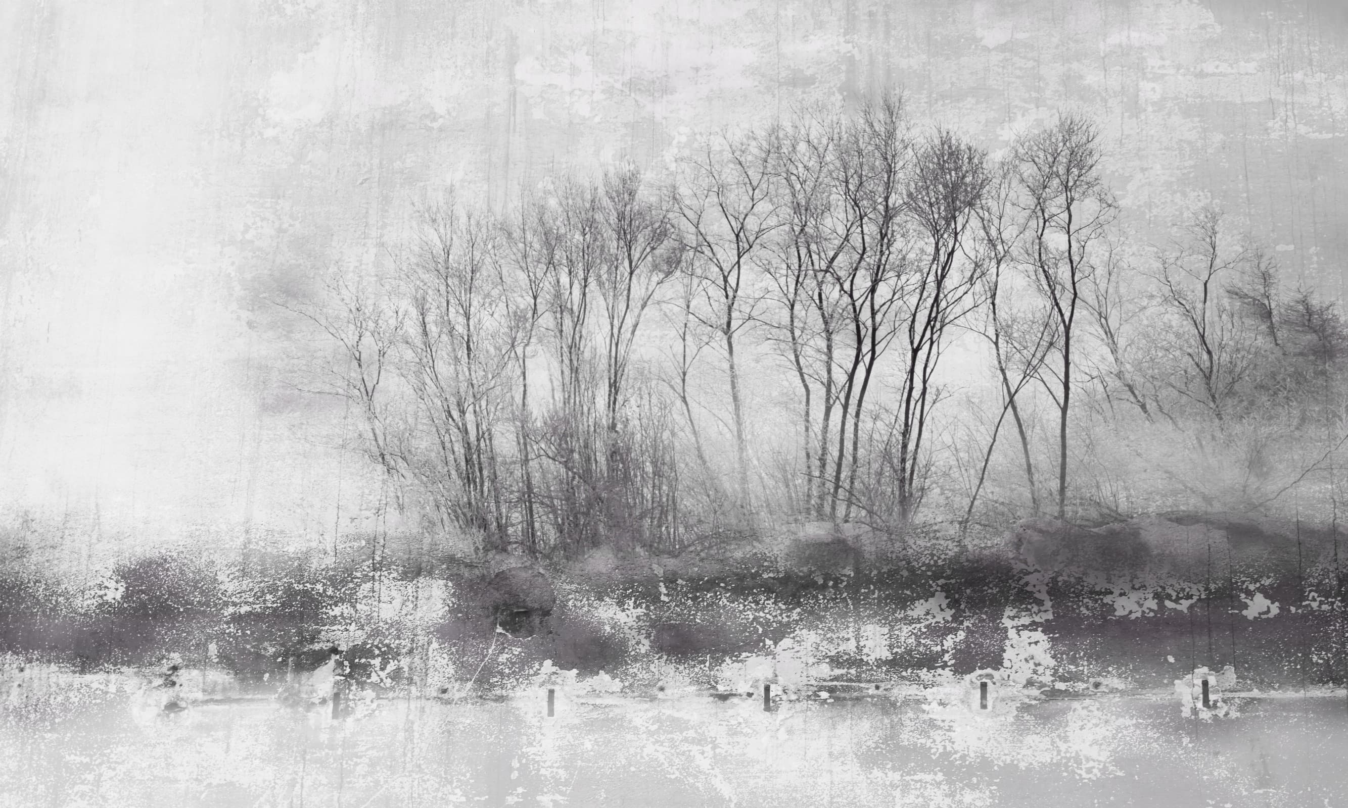 Papier peint Nebbia