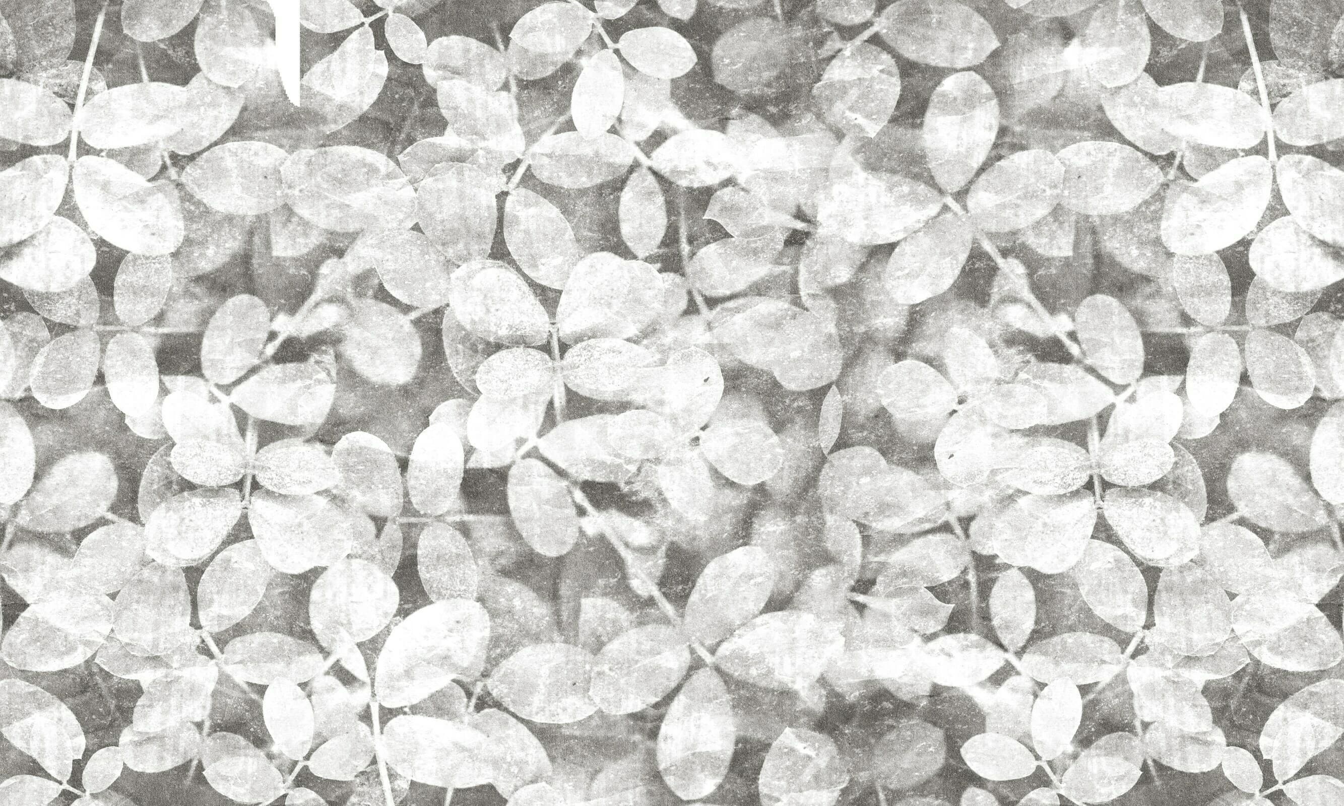 Papier peint Free Spirit