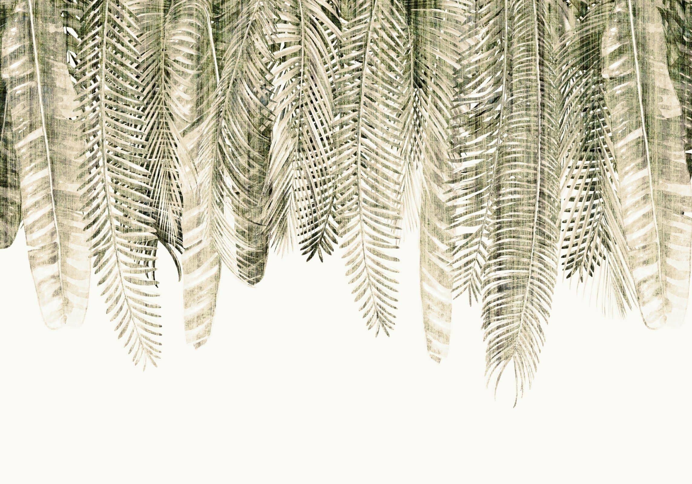 Papier peint Barbados