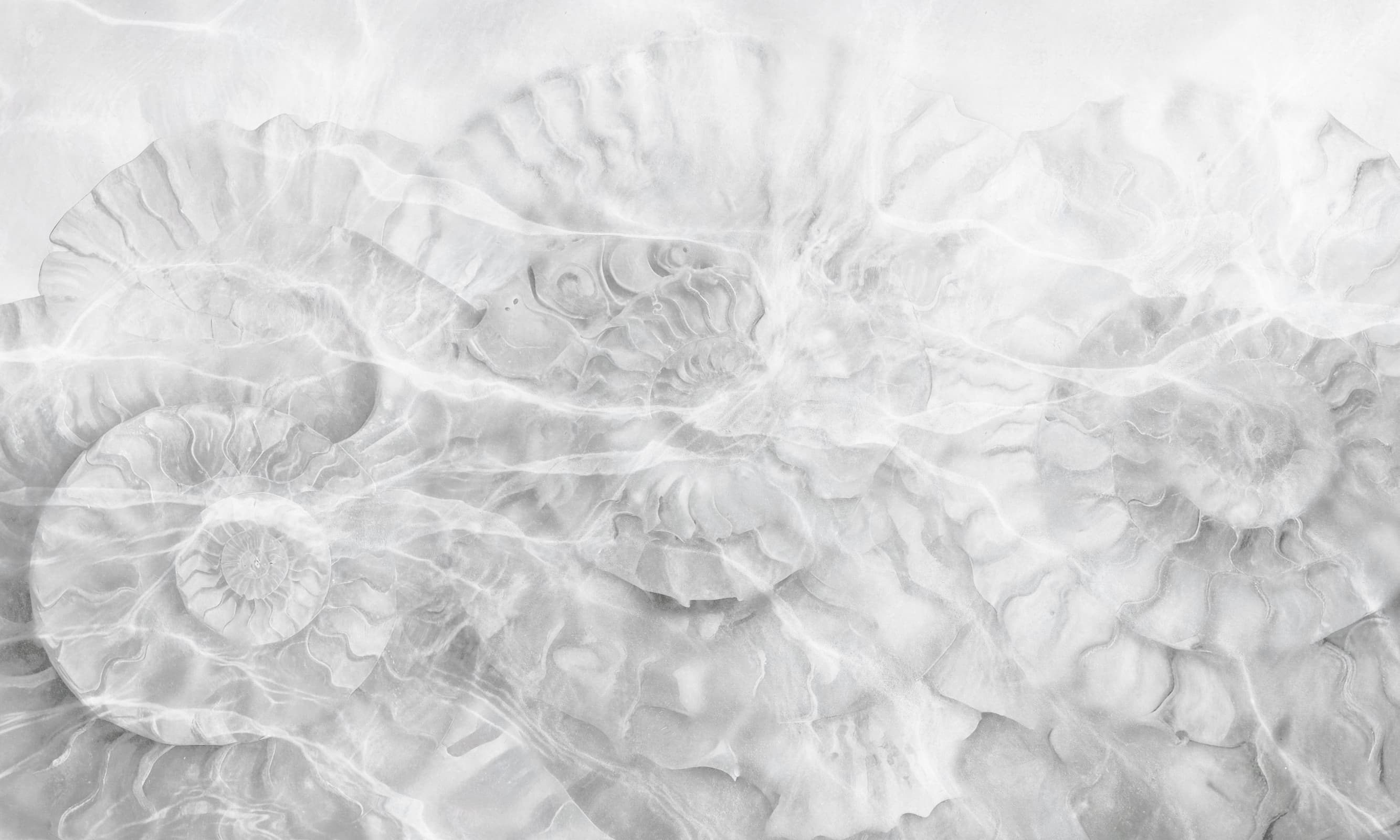 Papier peint Clear Water