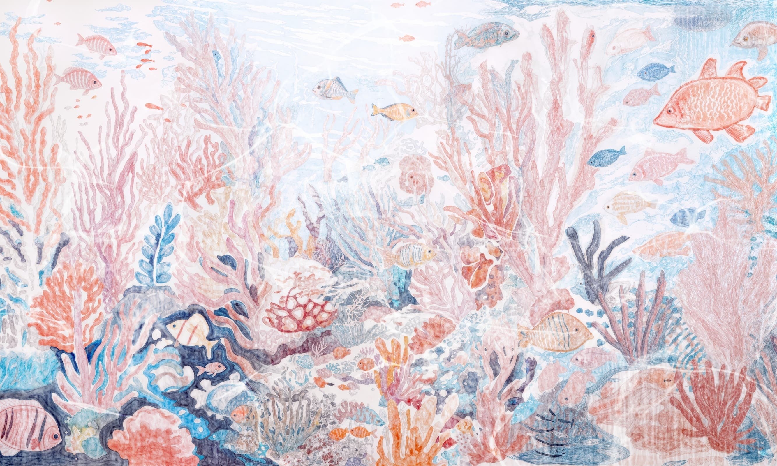 Papier peint Aquarium