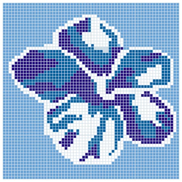 Mosaïque Q Hibiskus