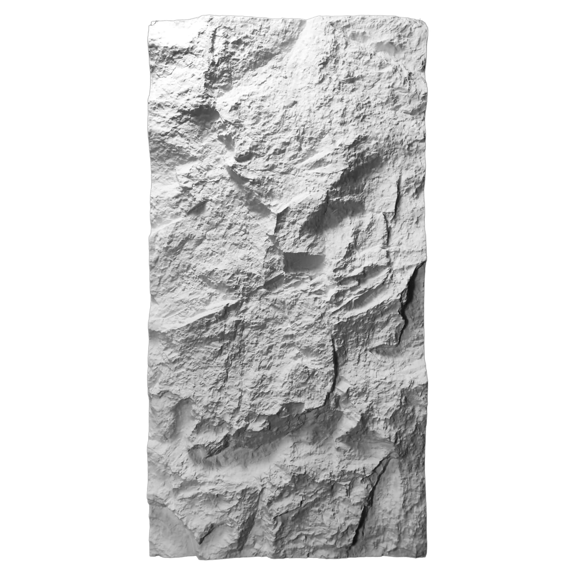 Panneau mural en polyuréthane TOWNSEND 60x120cm