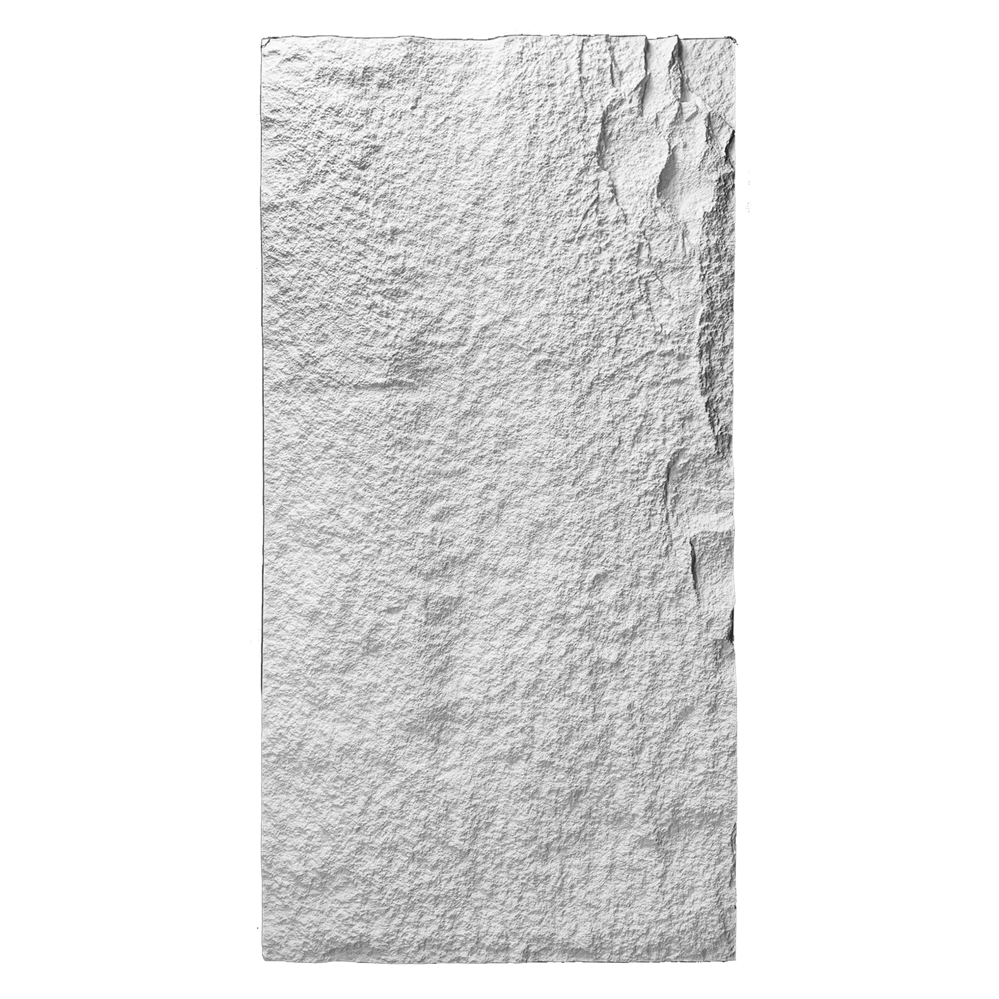 FUJI S3 polyurethane wall panel 60x120cm