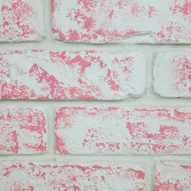 Rose pastel blanchi