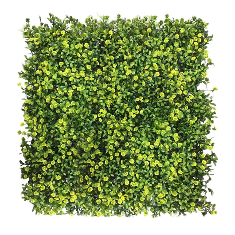 Mur végétal Grain 50x50cm