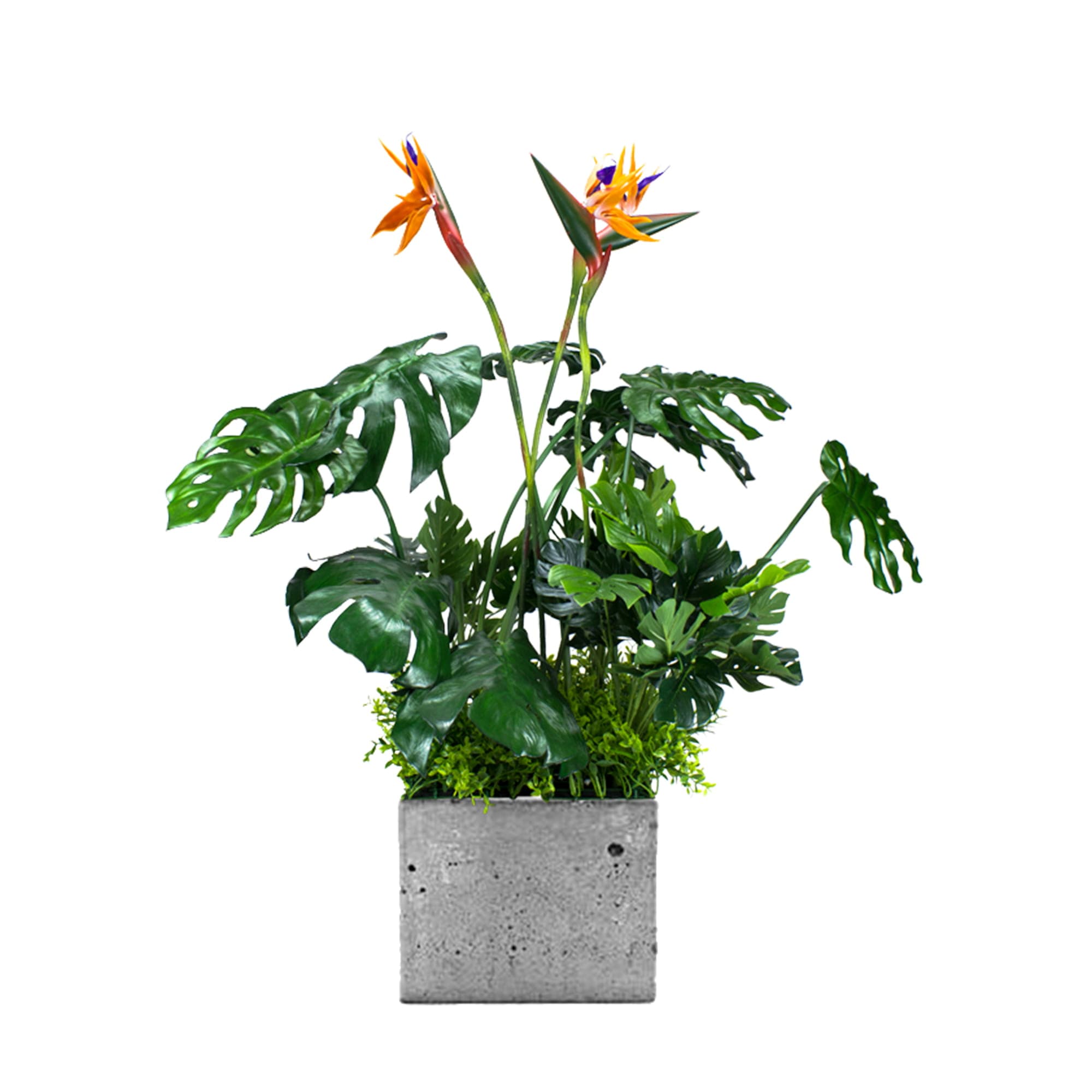 Plant insert for the Sunrise pot