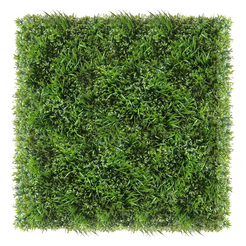 Mur végétal Ruskus 50x50cm