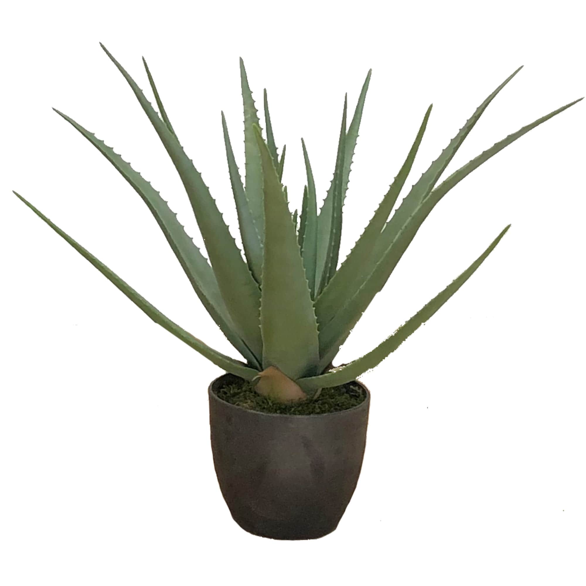 Aloès artificiel 69 cm en pot