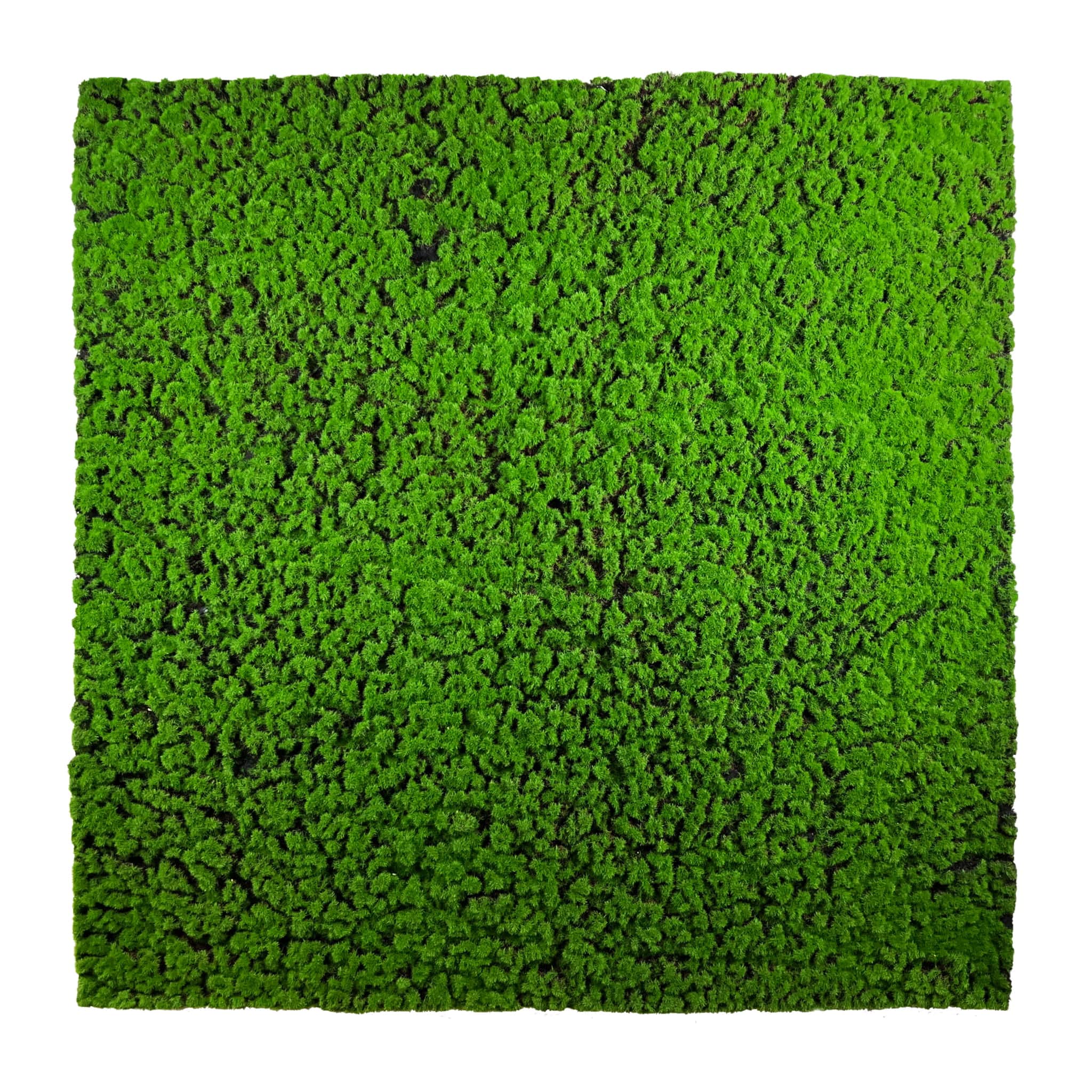Mousse artificielle Chrobotek 100x100cm