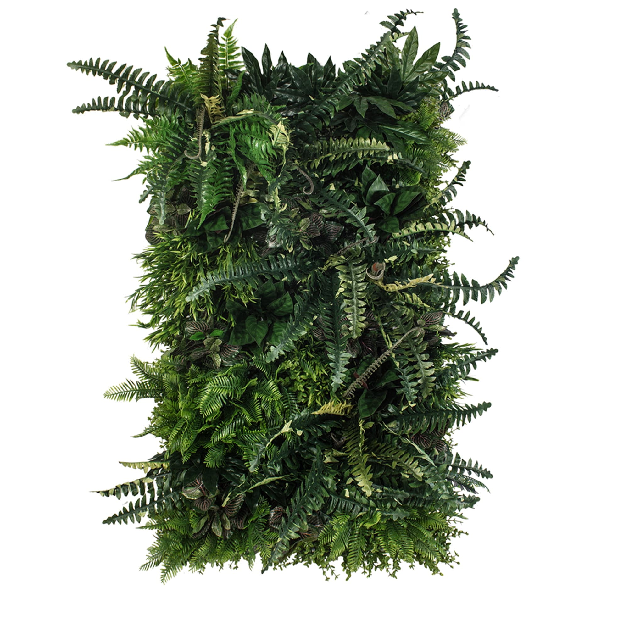 Vertical Rainforest Garden