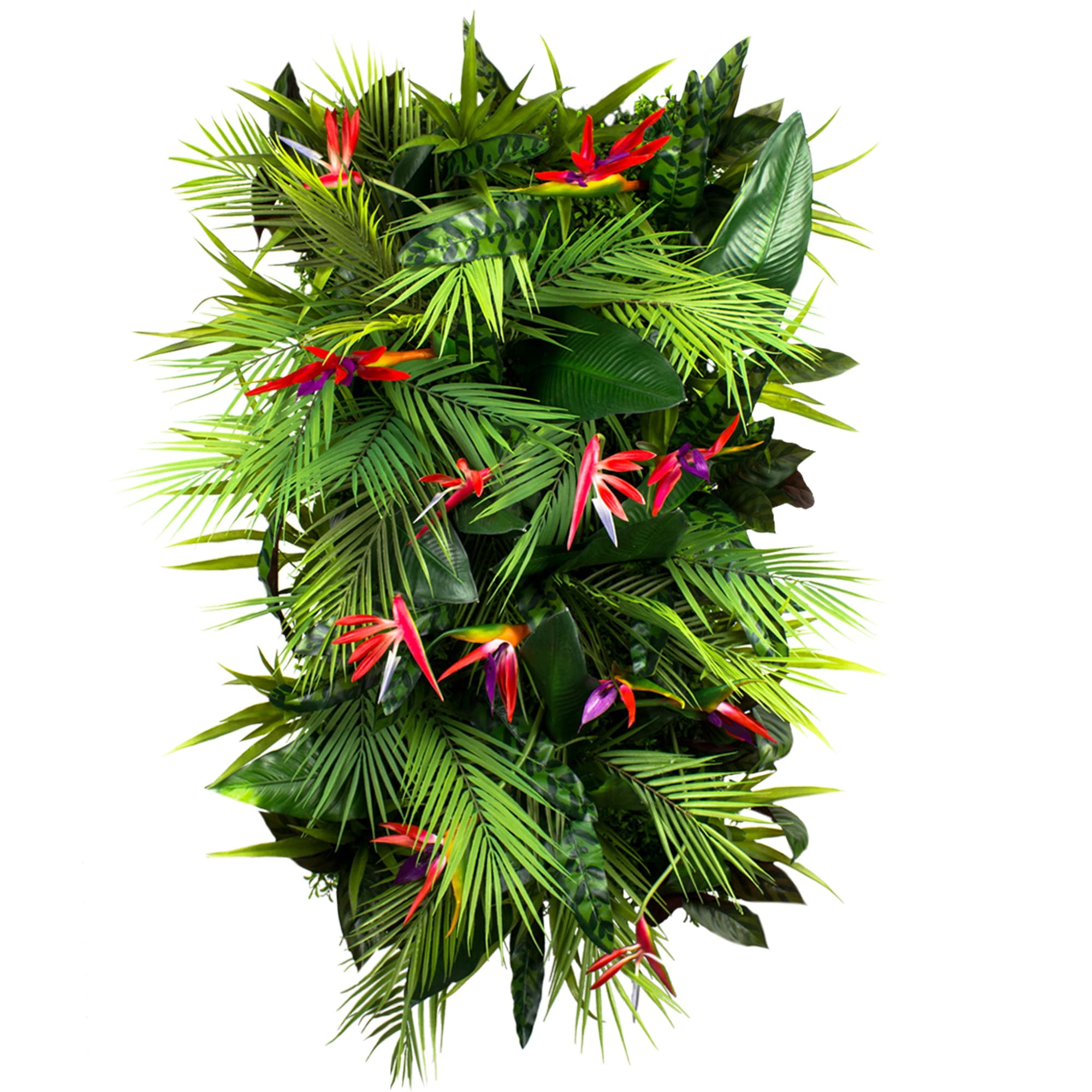 Passion fruit vertical garden