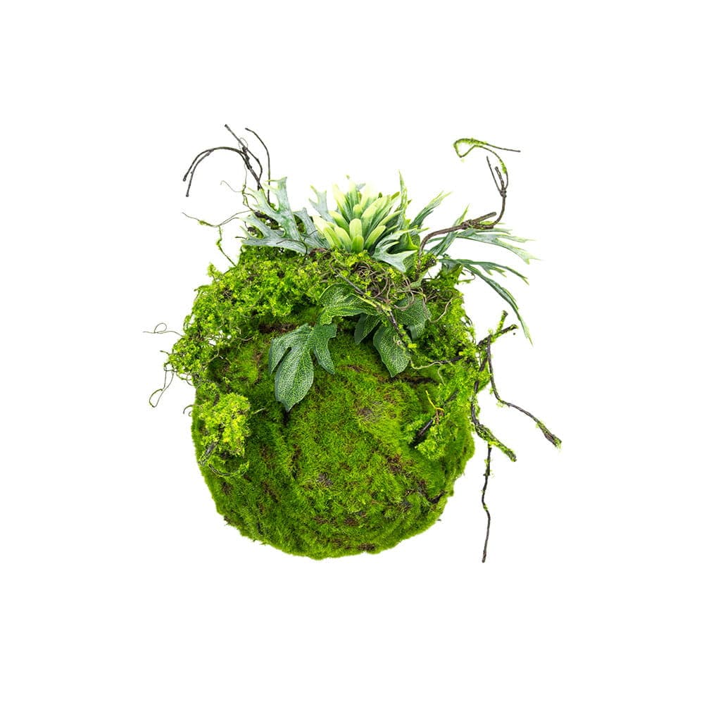 Kokedama moss ball 25 cm