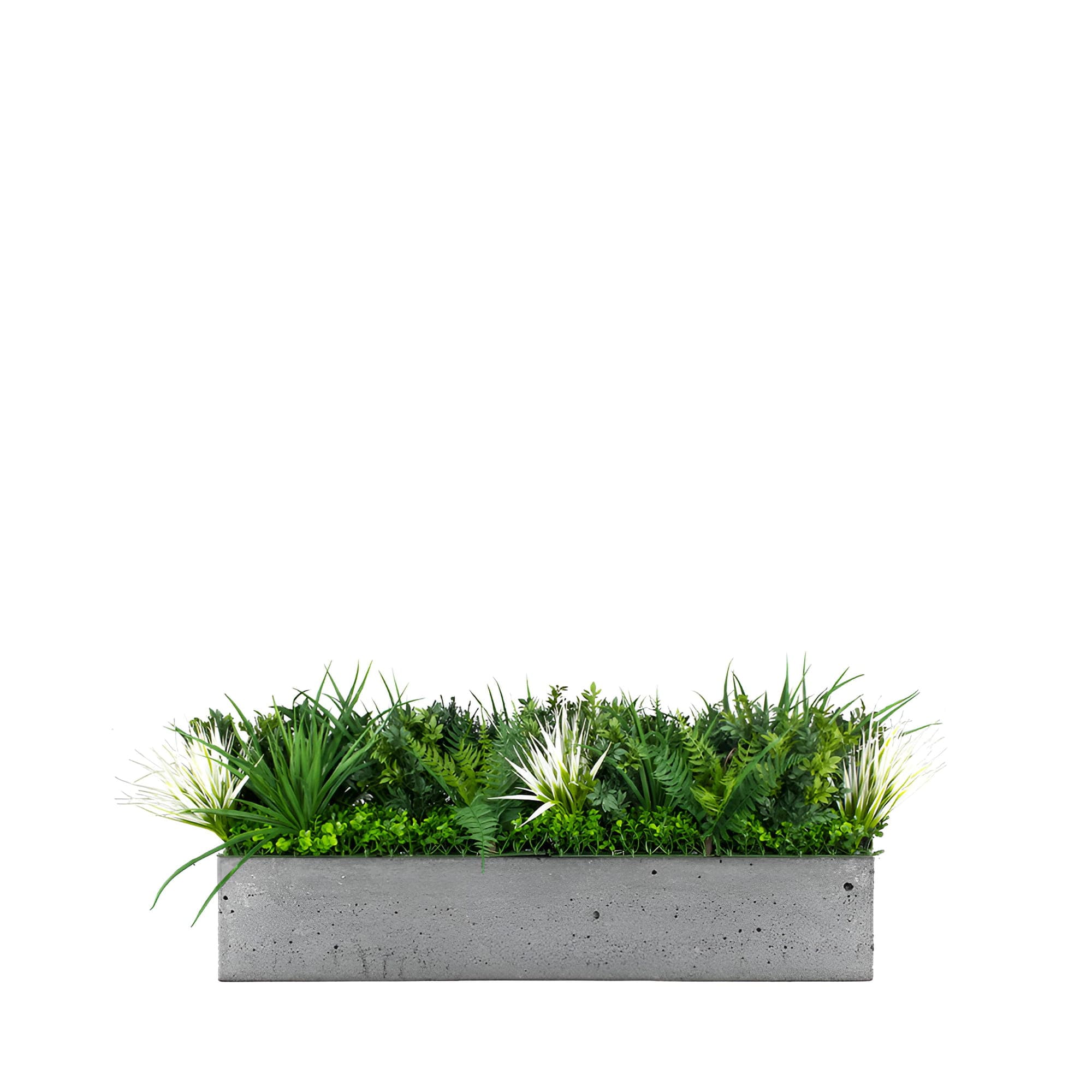Remplissage végétal pour le pot Treeswift FR UV