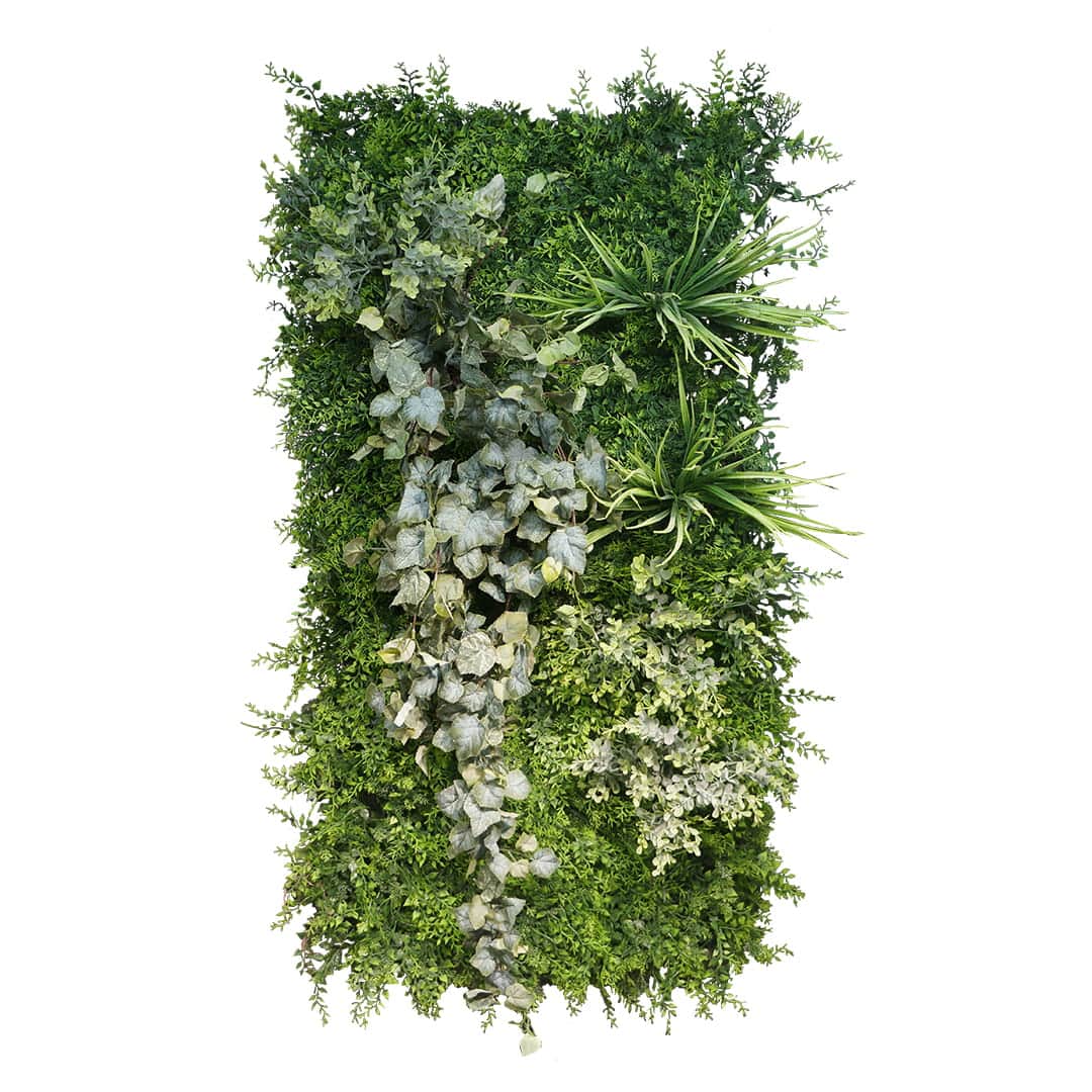 Jardin vertical avec support vert