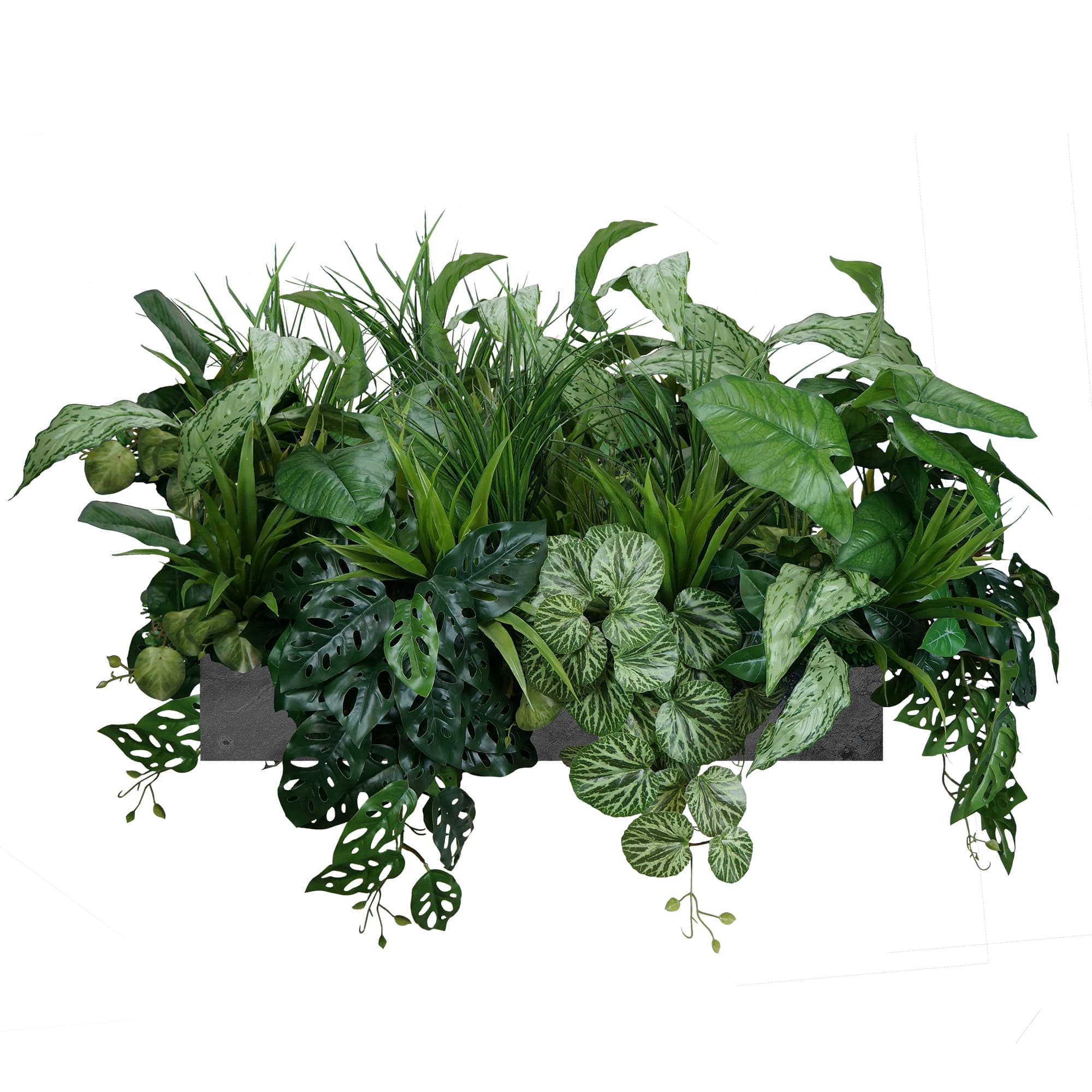 Composition de pot de fleurs Verdant Haven – Green Designers