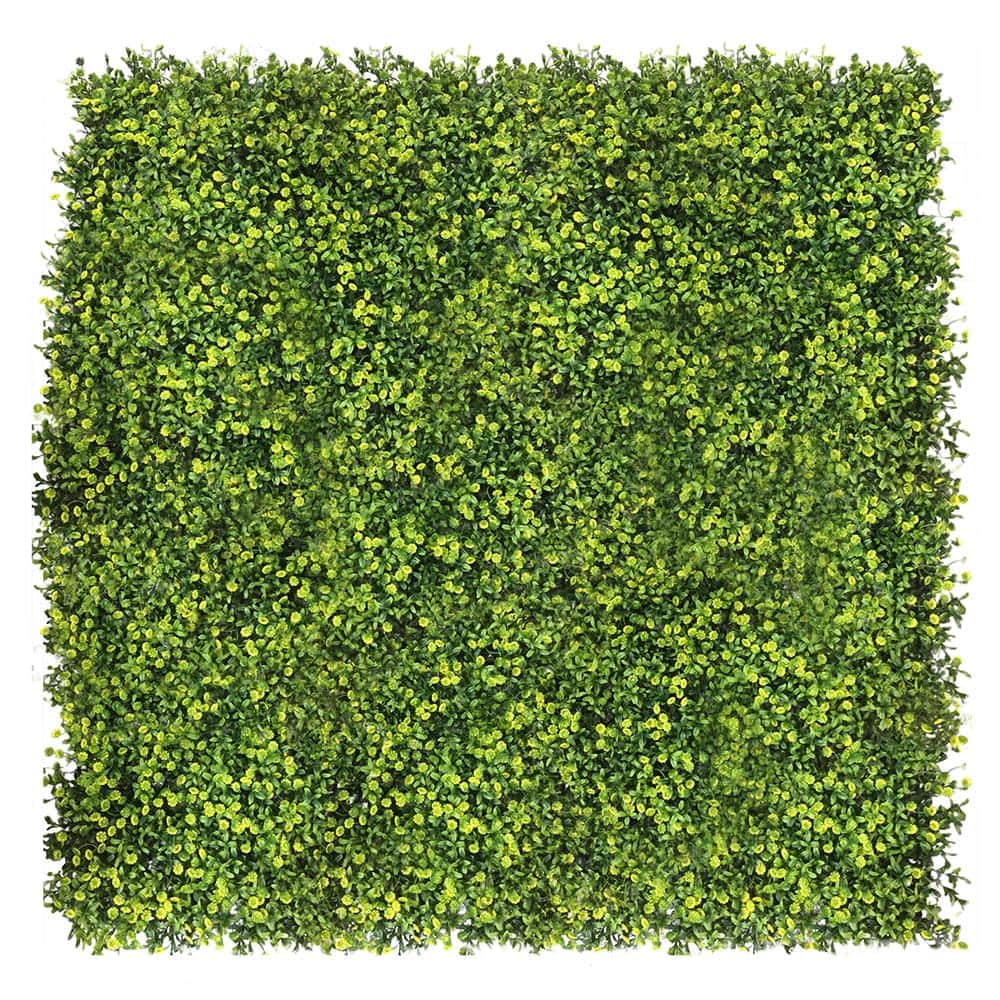 Mur végétal Grain 50x50cm