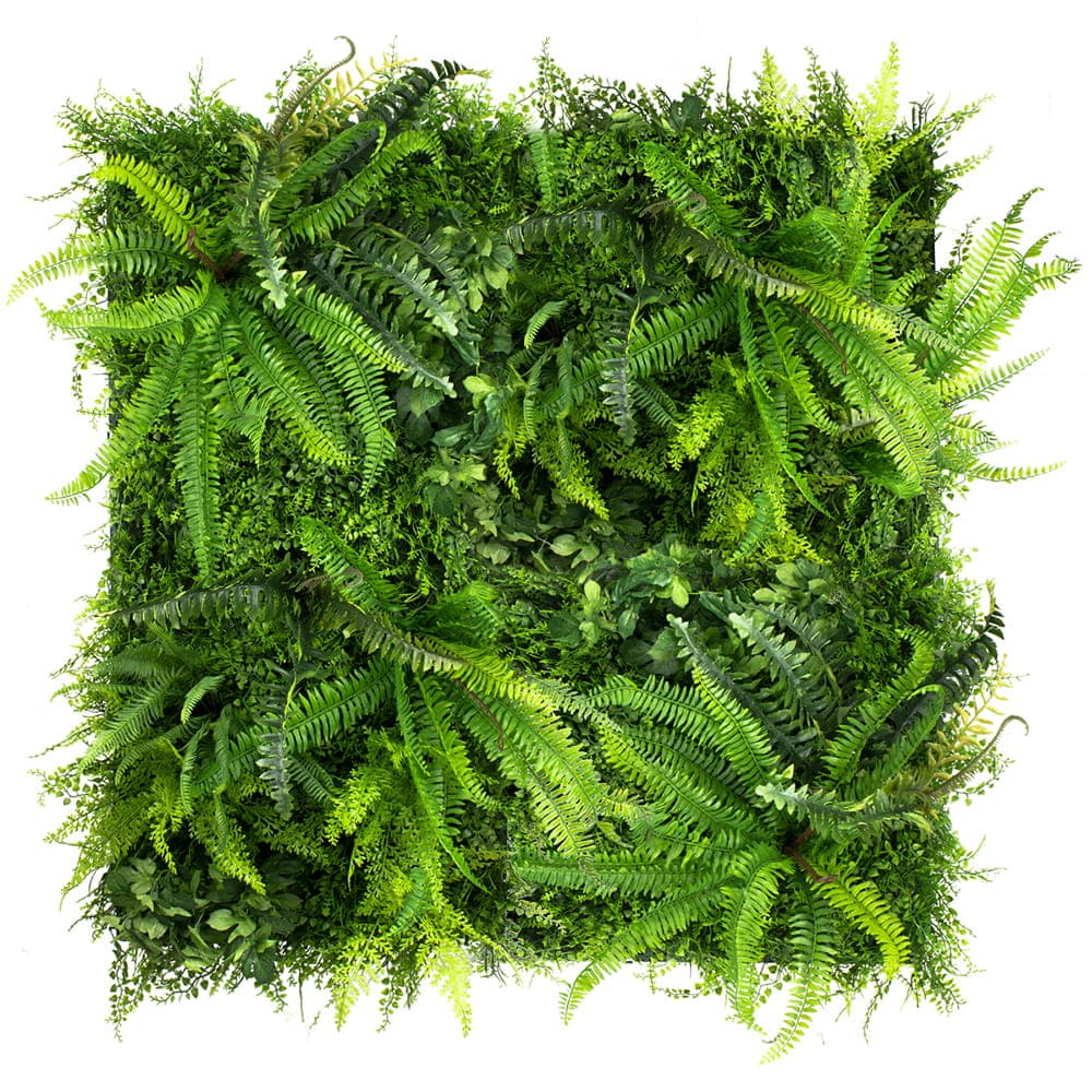 Jardin vertical de fougère sauvage