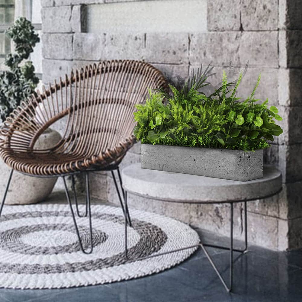 Composition pour le pot White Sparrow