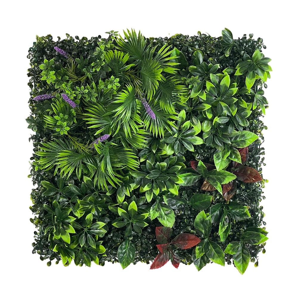 Bird of Paradise green wall 50x50cm