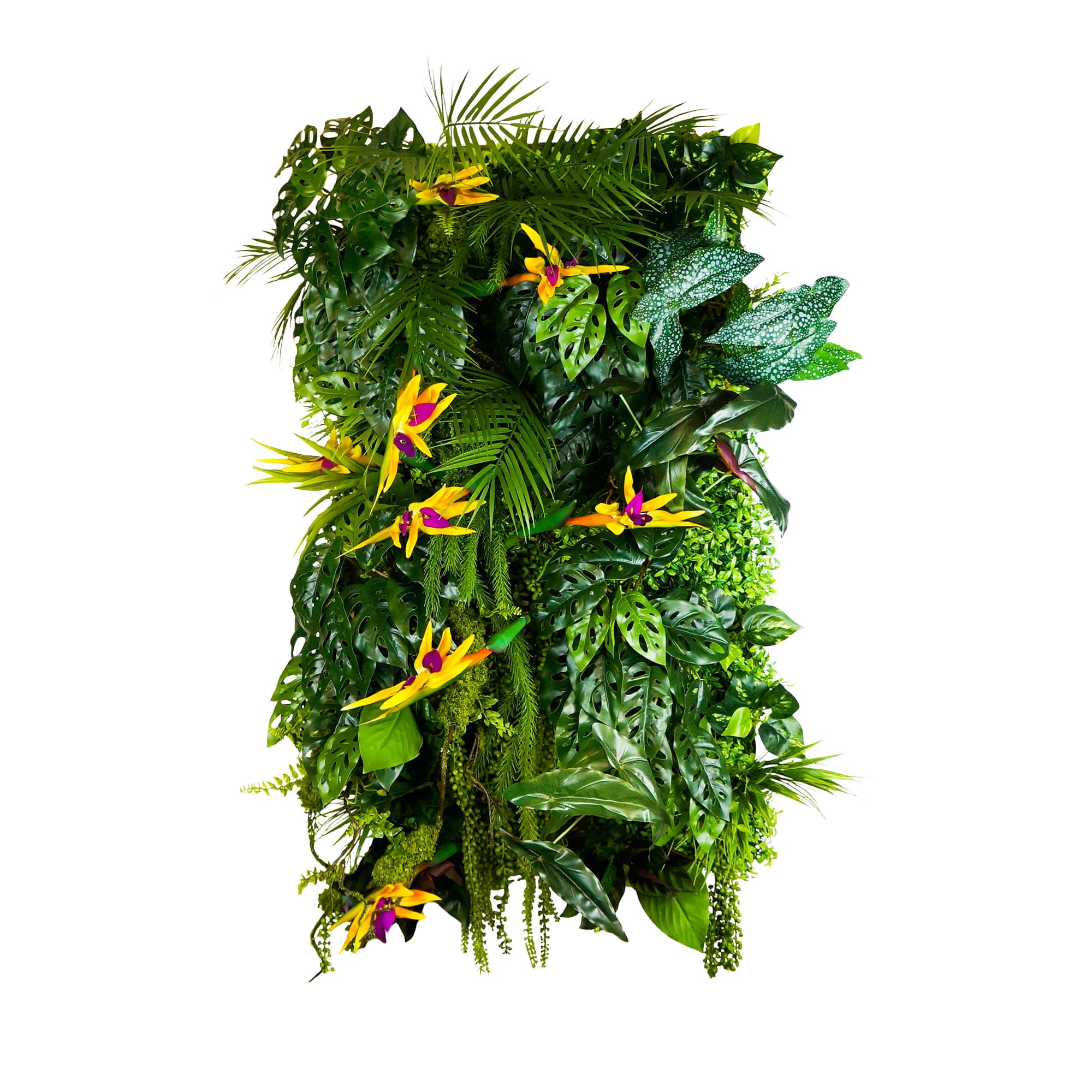 Seychelles Sun vertical garden