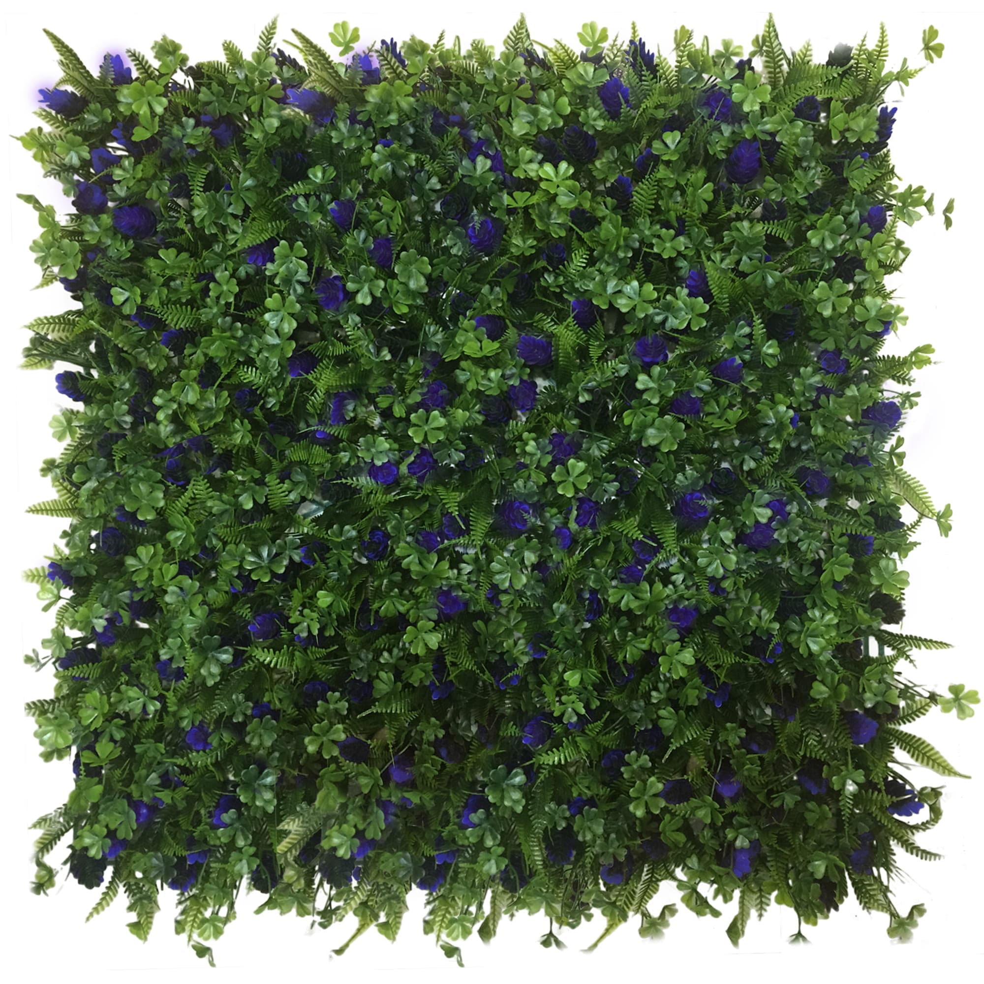 Green wall Wisteria 50x50cm