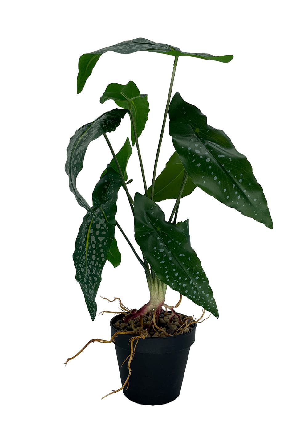 Artificial Begonia plant 35 cm