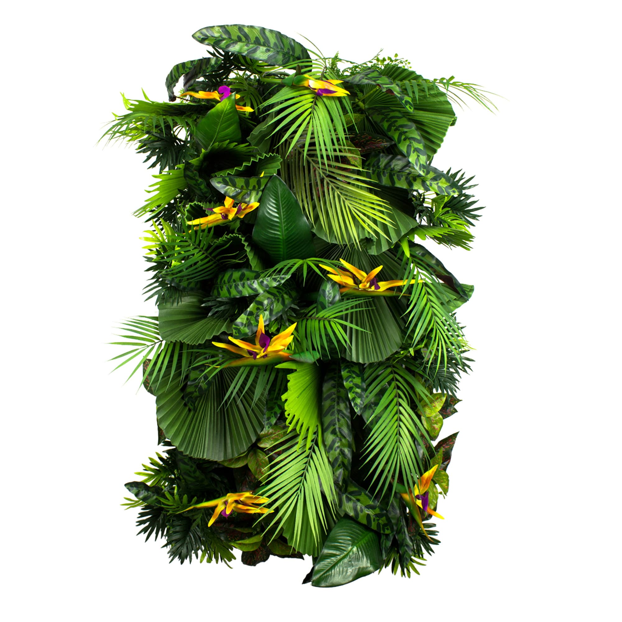 Exotic Vibe vertical garden