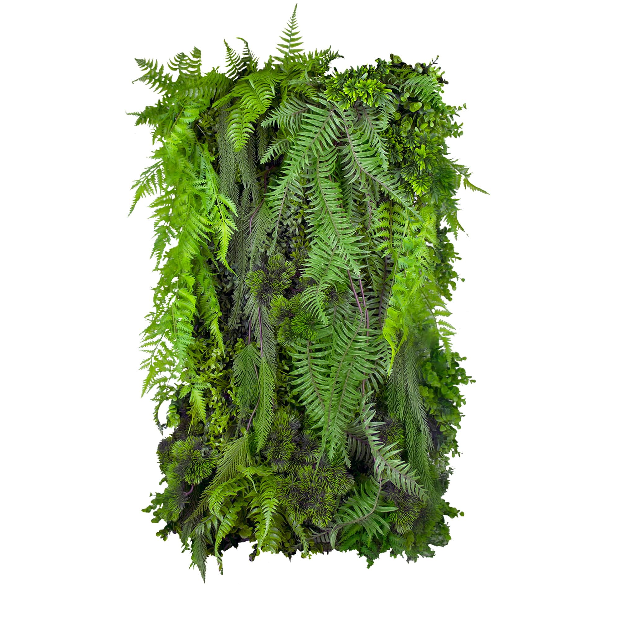 Vertikale Gartenfarn-Kaskade