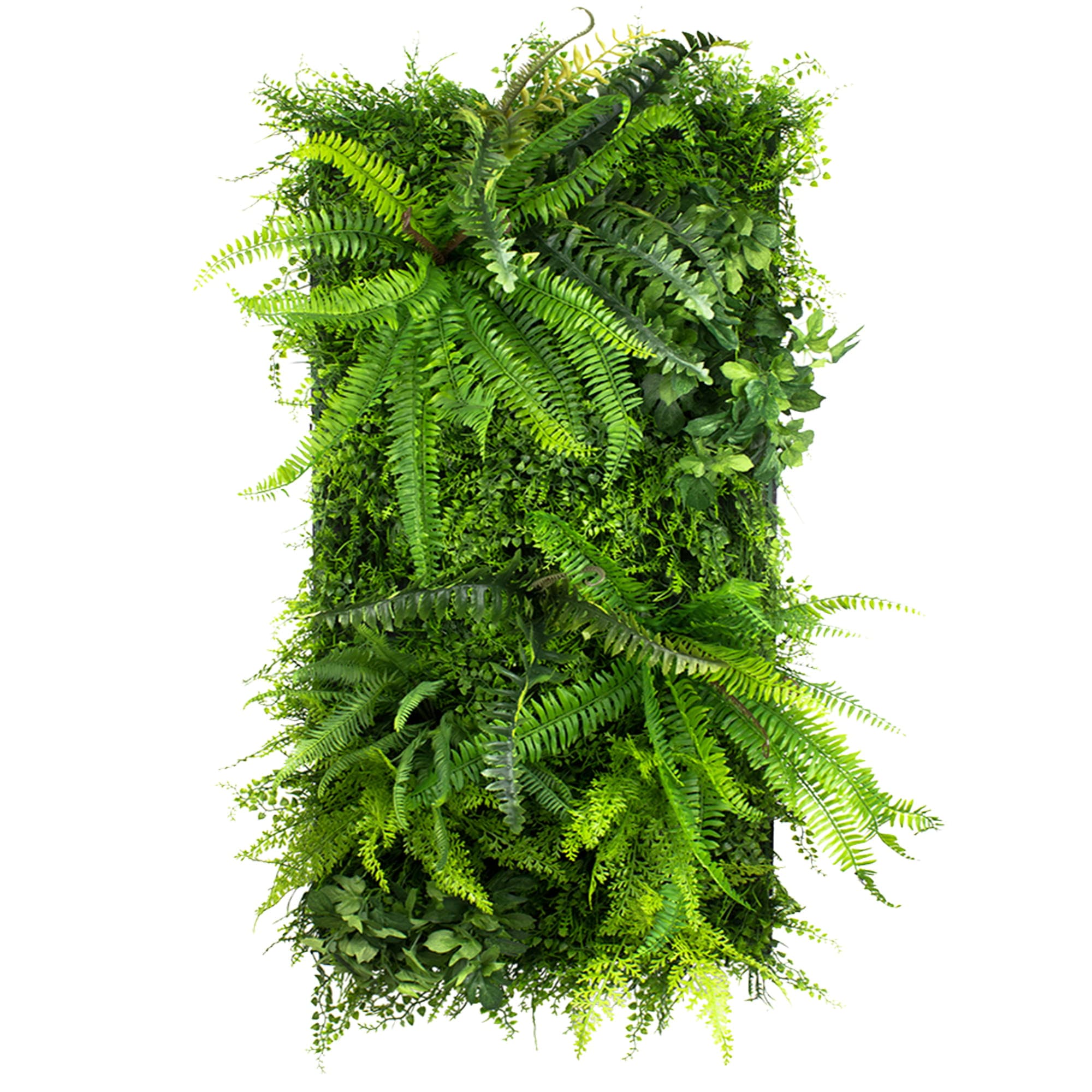 Wild Fern Vertical Garden