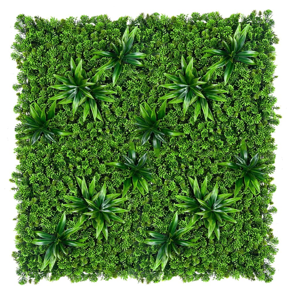 Mur végétal Succulent 50x50cm