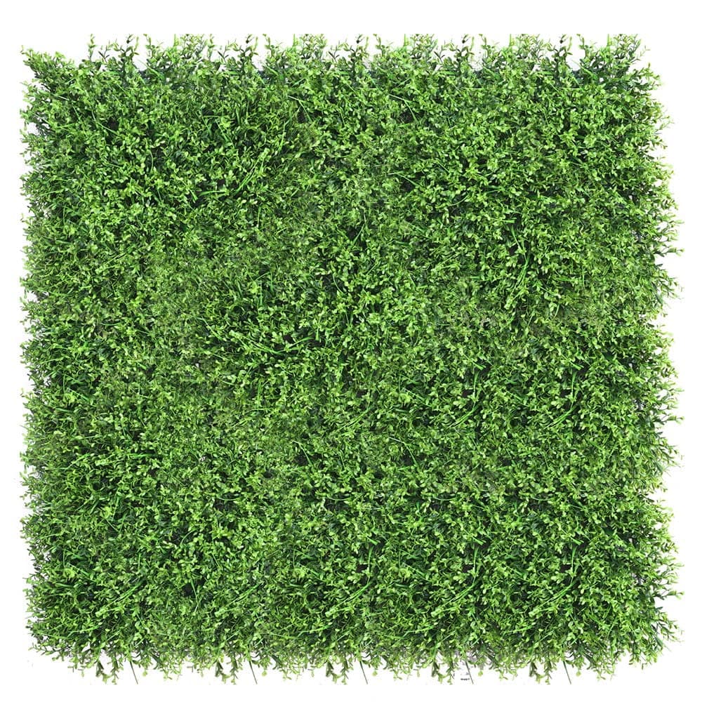 Mur végétal Gui 50x50cm