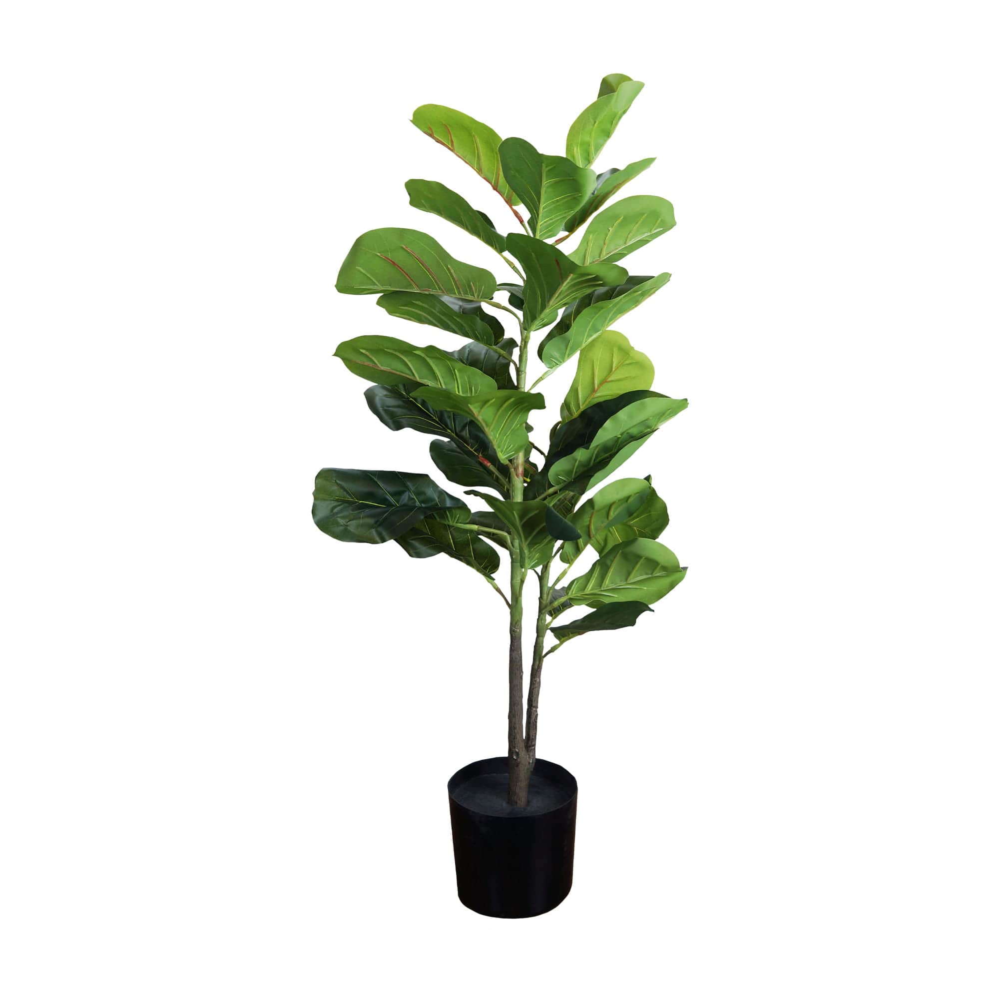 Plante décorative Ficus 90cm