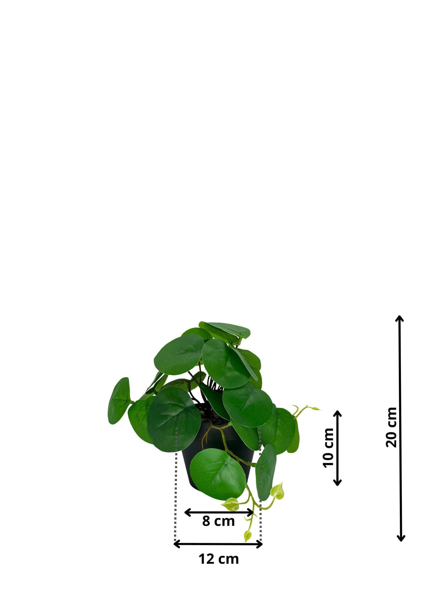 Plante Pilea artificielle 20 cm - Vert clair