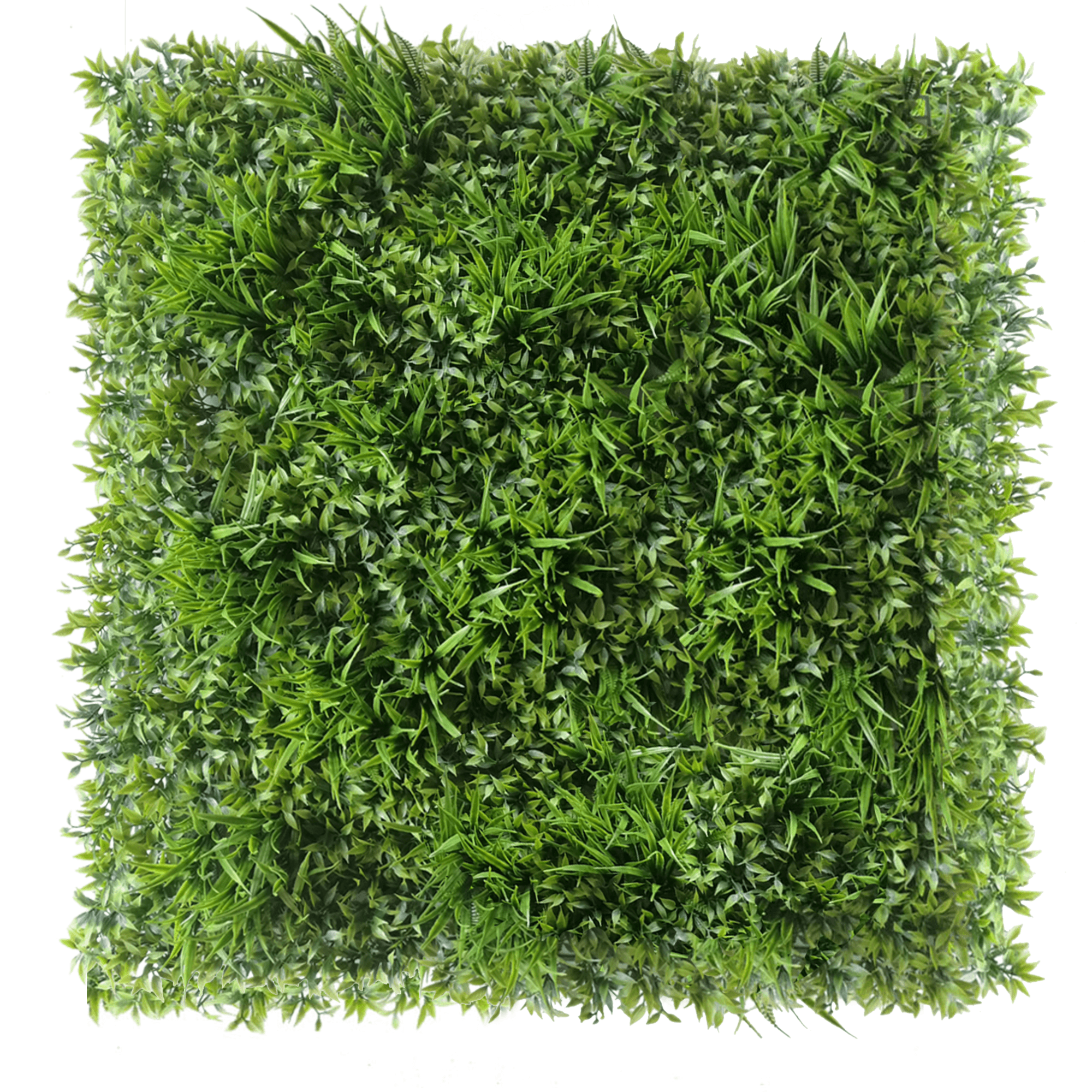 Ruskus green wall 50x50cm