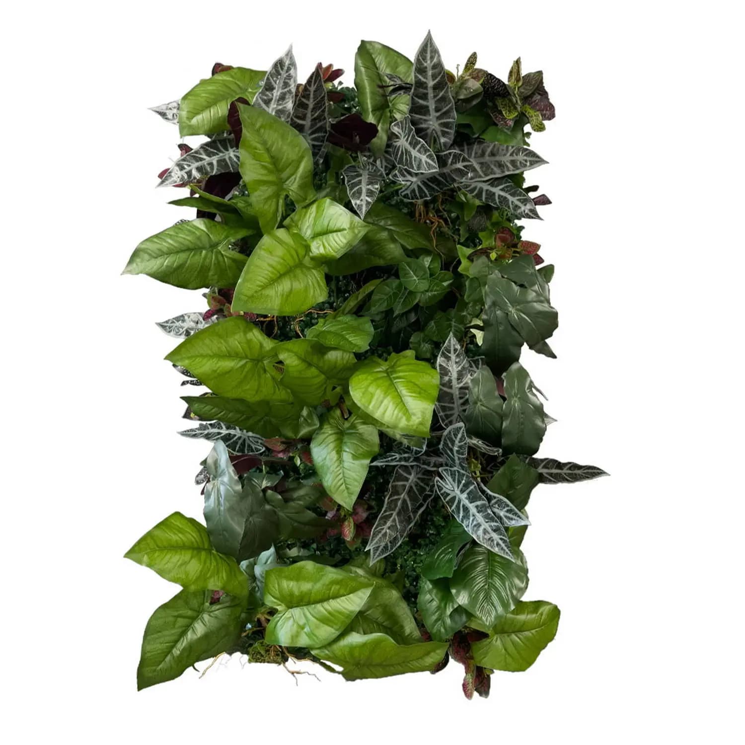 Catalpa Summit Vertical Garden